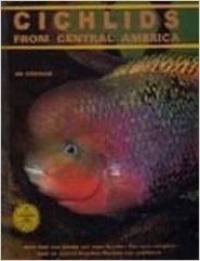 Cichlids from Central America