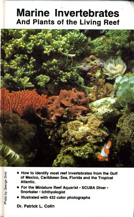 Marine invertebrates and plants of the living reef