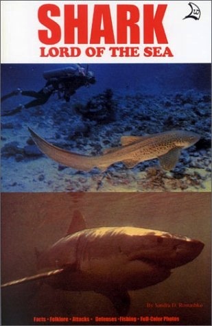 Shark lord of the sea