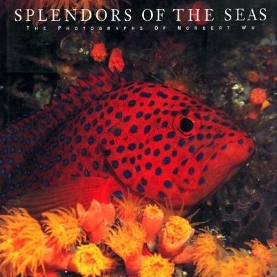 Splendors of the seas