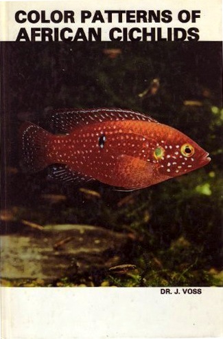 Color pattern of african Cichlids