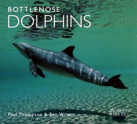 Bottlenose dolphins