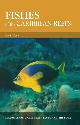 Fishes of the caribbean reef