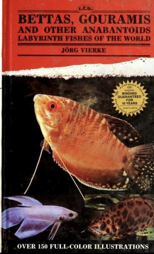 Bettas, Gouramis and other anabantoids labyrinth fisches of the world