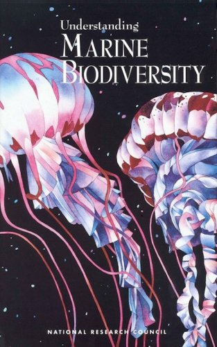 Understanding marine biodiversity