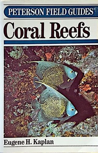 Coral reef of the Caribbean and Florida