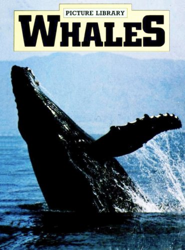 Whales