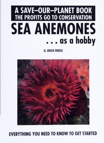 Sea anemones… as a hobby