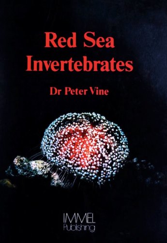 Red Sea invertebrates