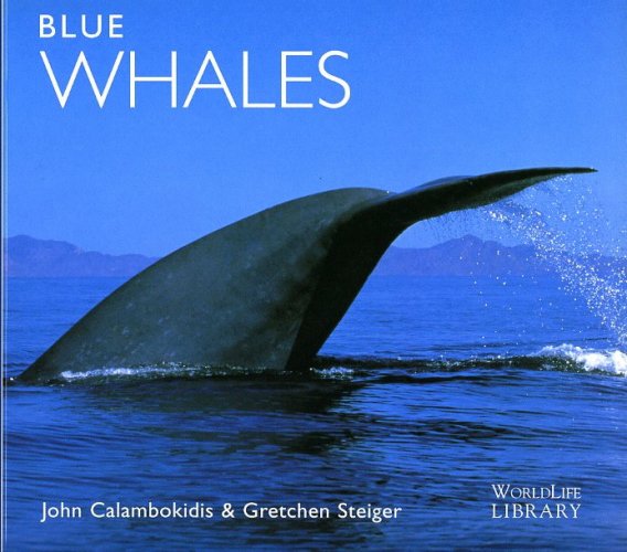 Blue whales