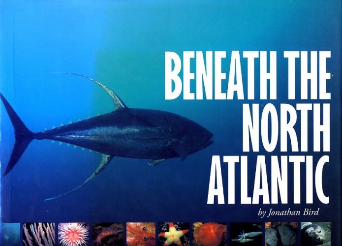Beneath the North Atlantic