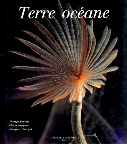 Terre océane