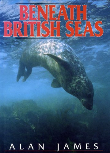 Beneath british seas