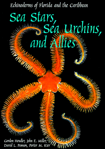 Sea stars, sea urchins and allies