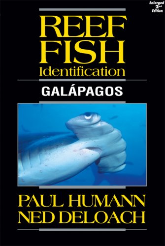 Reef fish identification Galapagos