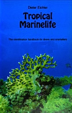 Tropical marinelife