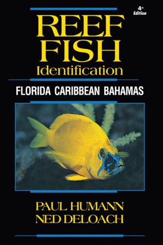 Reef fish identification