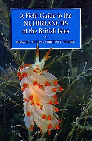 Field guide to the nudibranchs of the British Isles