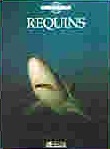Requins