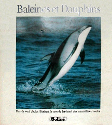 Baleines et dauphins