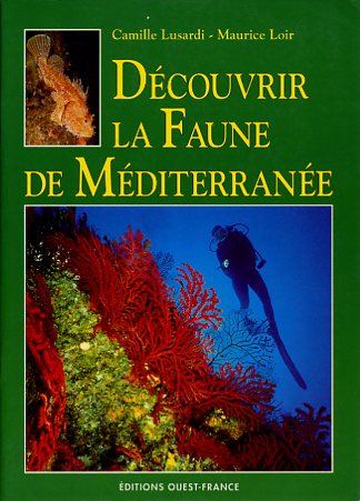 Découvrir la faune de Méditerranée