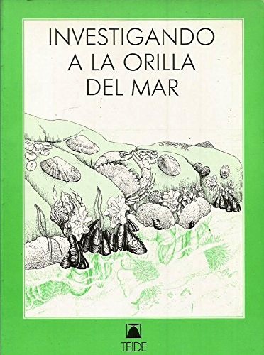 Investigando a la orilla del mar