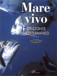Mare vivo