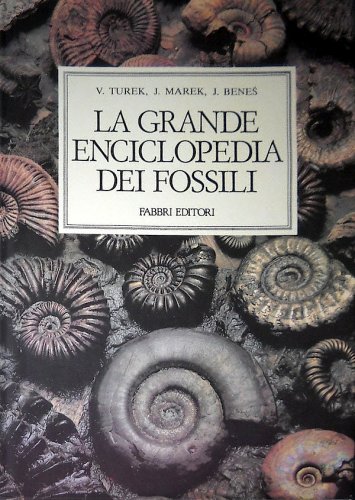 Grande enciclopedia dei fossili