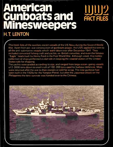 American gunboats and minesweepers