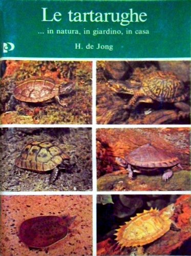 Tartarughe