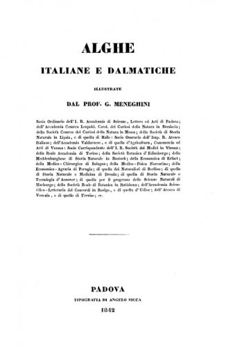 Alghe italiane e dalmatiche