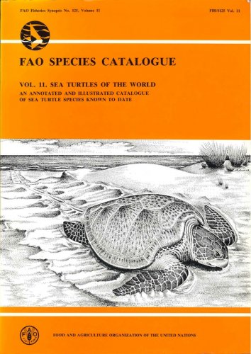 Sea turtles of the world