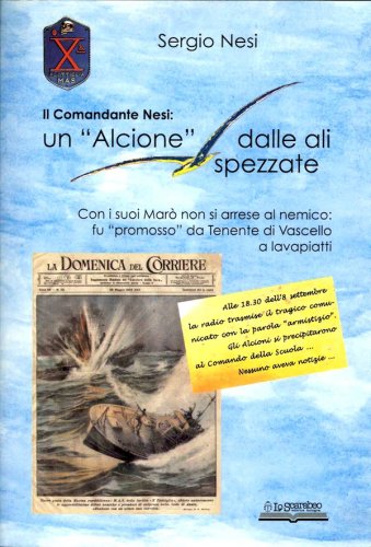 Alcione dalle ali spezzate