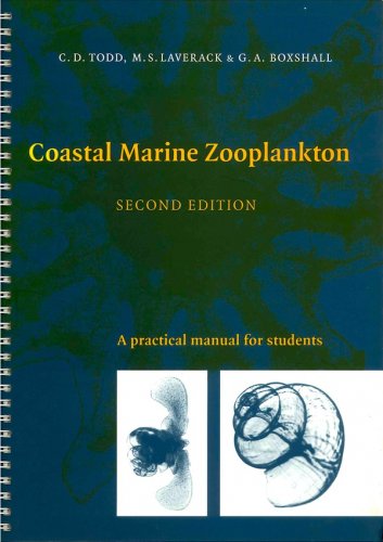 Coastal marine zooplankton