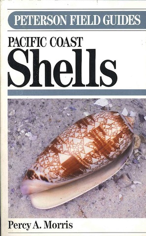 Pacific coast shells