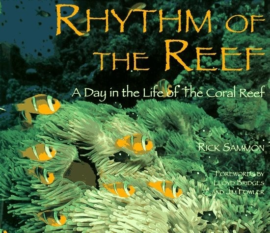 Rhythm of the reef