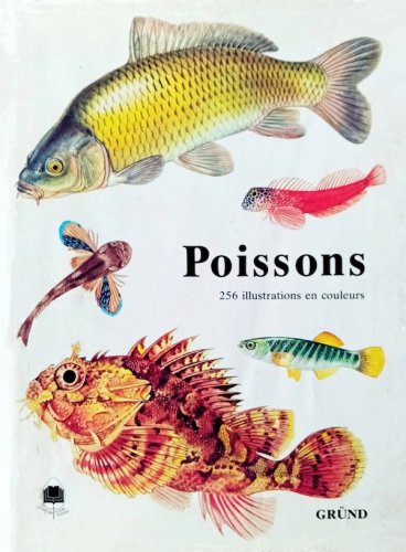 Poissons du Golfe de Gascogne