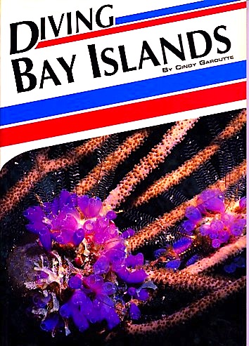 Diving Bay islands
