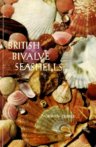 British bivalve seashells