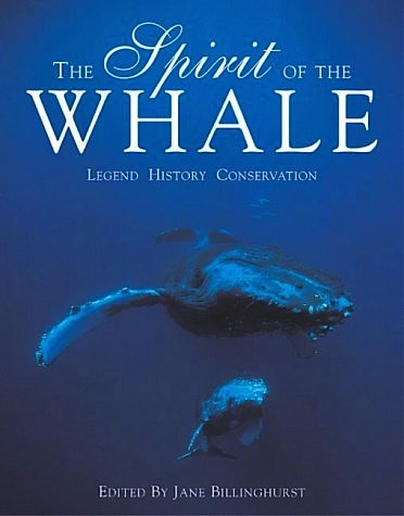 Spirit of the whale