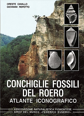 Conchiglie fossili del Roero
