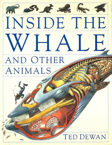 Inside the whale and other animals