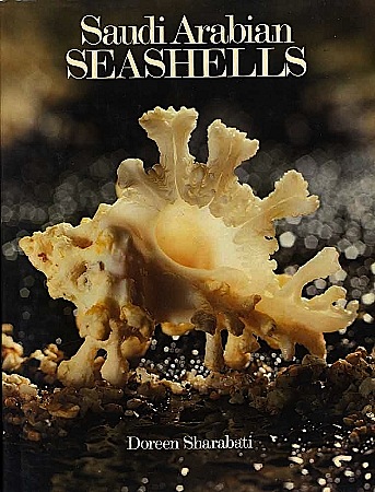 Saudi Arabian seashells