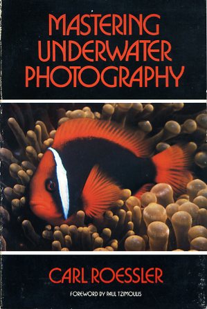 Mastering underwater photography