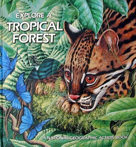 Explore a tropical forest