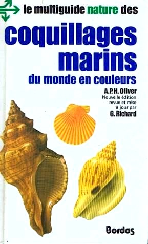 Coquillages marine du mond en coleur
