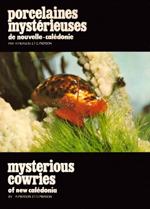 Porcelaines mysterieuses de Nouvelle Caledonie