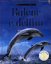Balene e delfini