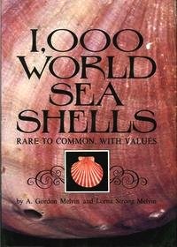 1000 world sea shell