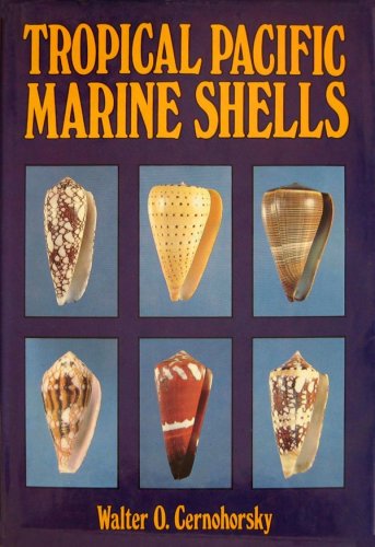 Tropical Pacific marine shells